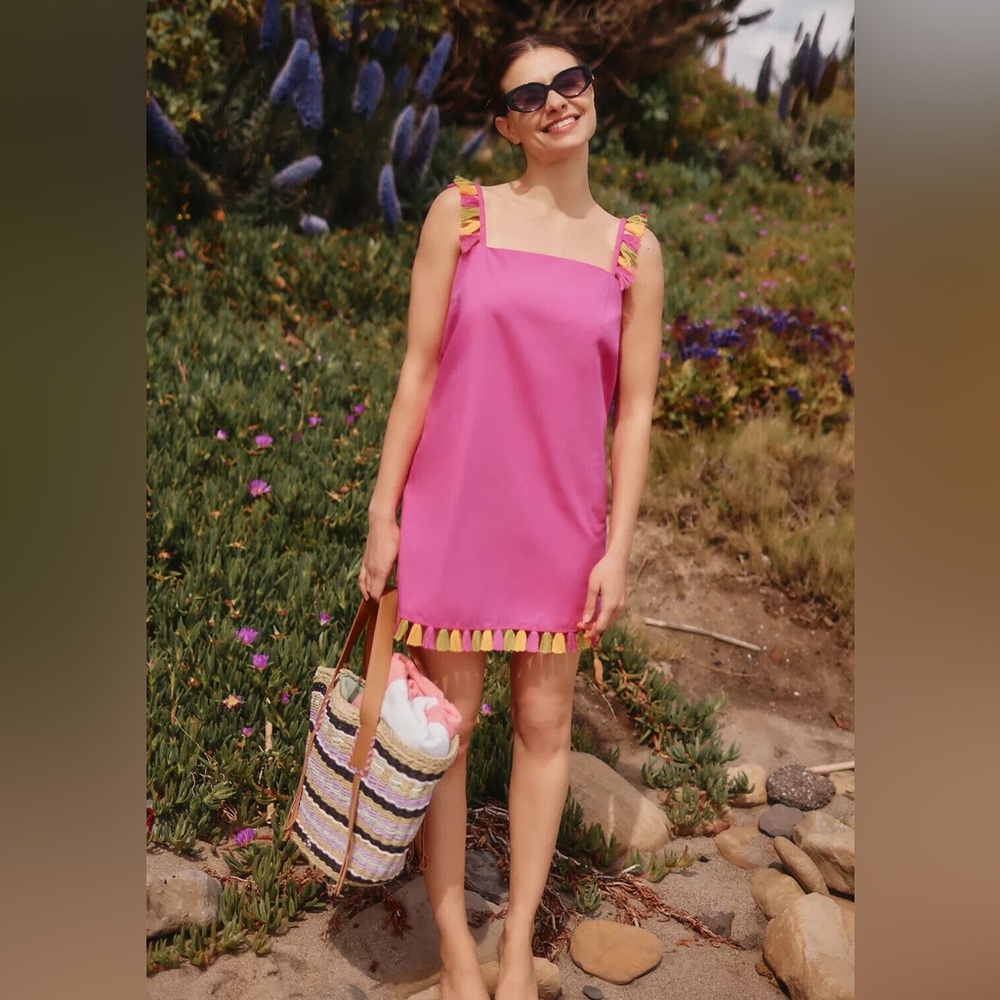 NWT Anthropologie The Hartley Shift Mini Dress Pink. Medium